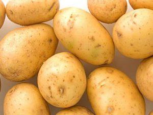 характеристика сортов картофеля