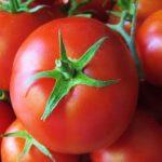 томаты семена сорта