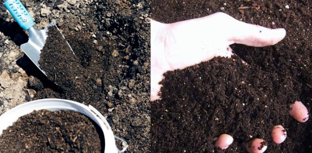 подготовка почвы для капусты
